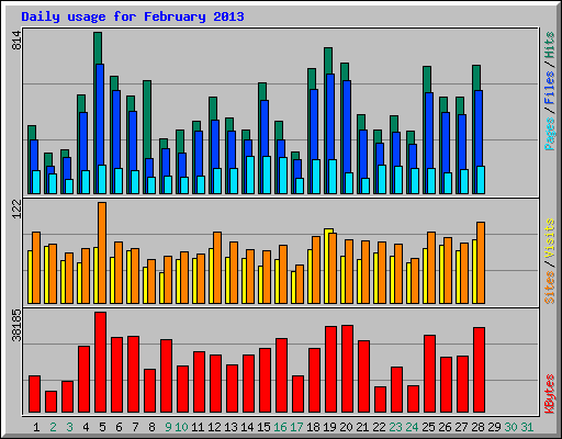 Daily usage for February 2013
